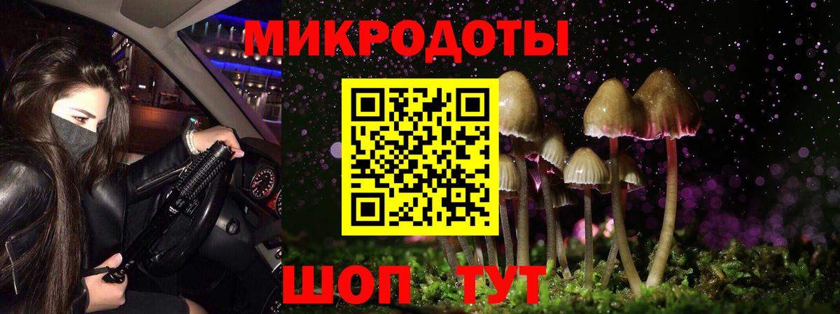 Псилоцибиновые грибы MAGIC MUSHROOMS  Галлюциногенные грибы GOLDEN TEACHER  Вход с VPN  Лабытнанги 